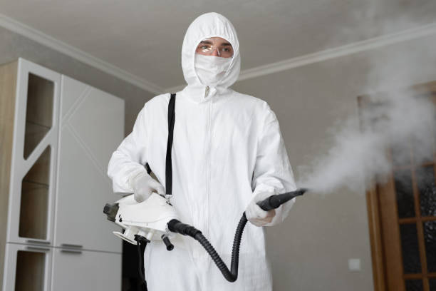 Best Mold Remediation for Healthcare Facilities  in Brooklyn, WI